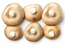 Featured products - 玩球直播